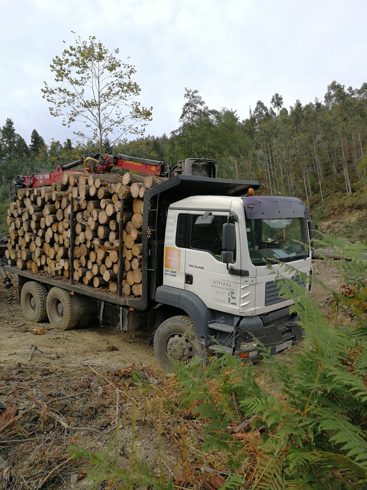 Transporte de madera con camiones forestales subcontratados en Vizcaya